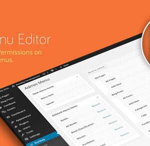 Admin Menu Editor Pro v2.26.1 + Addons