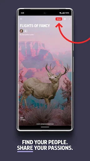 Flipboard: नवीनतम समाचार और जानकारी के लिए सर्वश्रेष्ठ ऐप डाउनलोड करें - Screenshot 5