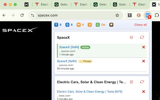 Duplicate Tab Detector डाउनलोड करें – ब्राउज़र टैब को ऑटो-क्लोज करें - Screenshot 1