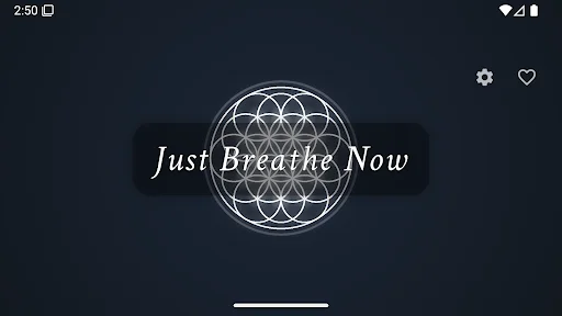Just Breathe Now डाउनलोड करें – तनाव कम करने के लिए बेस्ट ब्रीदिंग ऐप - Screenshot 8