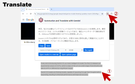 Summarize and Translate with Gemini डाउनलोड करें – AI टूल - Screenshot 3