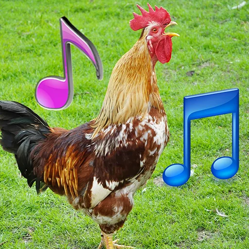 Alarm Clock Ringtone डाउनलोड करें – बेहतरीन अलार्म और नोटिफिकेशन टोन