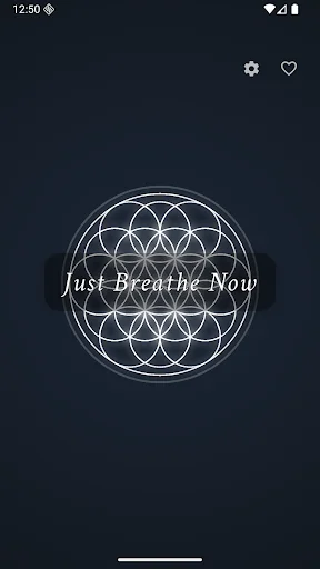 Just Breathe Now डाउनलोड करें – तनाव कम करने के लिए बेस्ट ब्रीदिंग ऐप - Screenshot 1