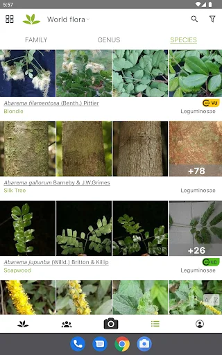 PlantNet Plant Identification डाउनलोड करें – पौधों की सटीक पहचान - Screenshot 7